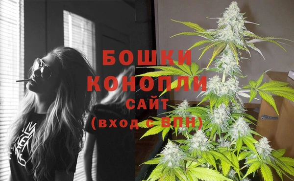 PSILOCYBIN Пролетарск
