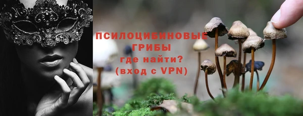 прущие крисы Протвино