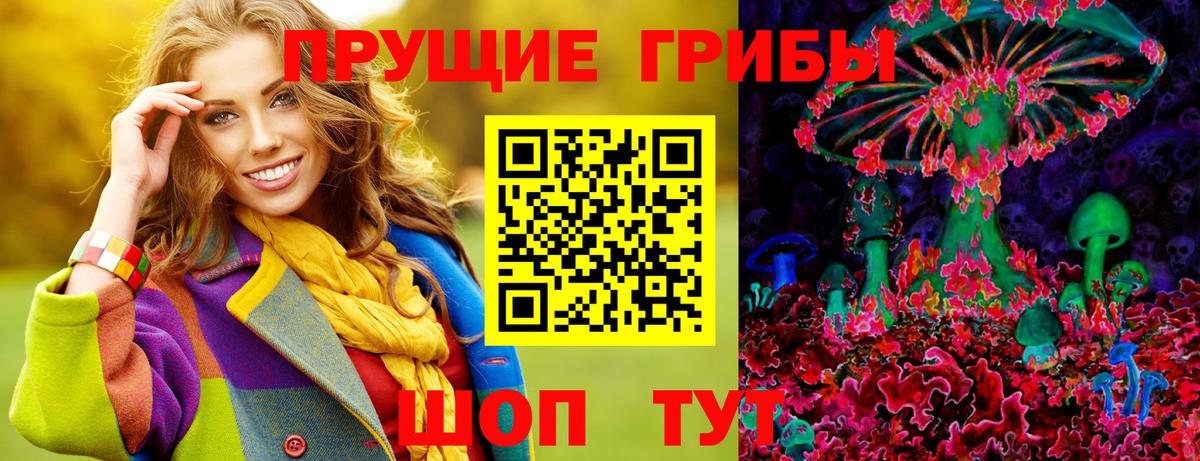 Спасск-Дальний  Псилоцибиновые грибы GOLDEN TEACHER  даркнет сайт  Псилоцибиновые грибы Magic Shrooms  Вход с VPN 