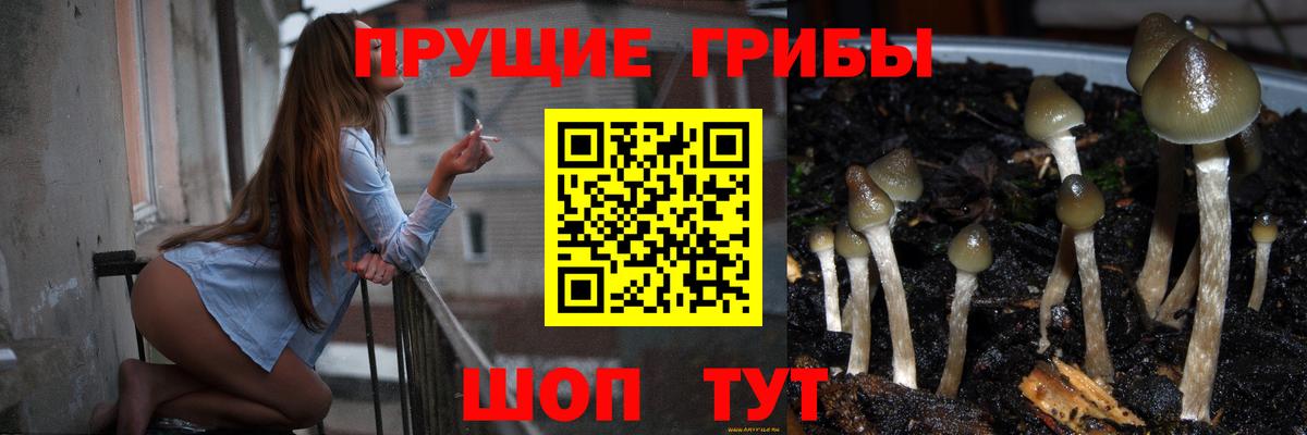 Псилоцибиновые грибы Cubensis Спасск-Дальний